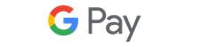 Google Pay logo.